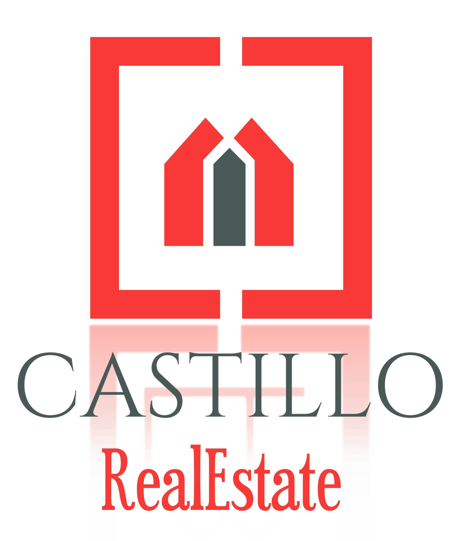 LOGO DEFINITIVO DAMAR CASTILLO REAL ESTATE_PEQUEÑO - Fondo transparente